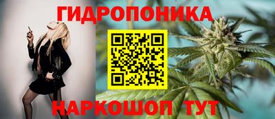 PSILOCYBIN Ликино-Дулёво