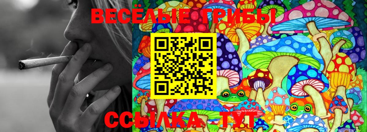 Псилоцибиновые грибы GOLDEN TEACHER  Псилоцибиновые грибы MAGIC MUSHROOMS  Вход с VPN  Выкса 